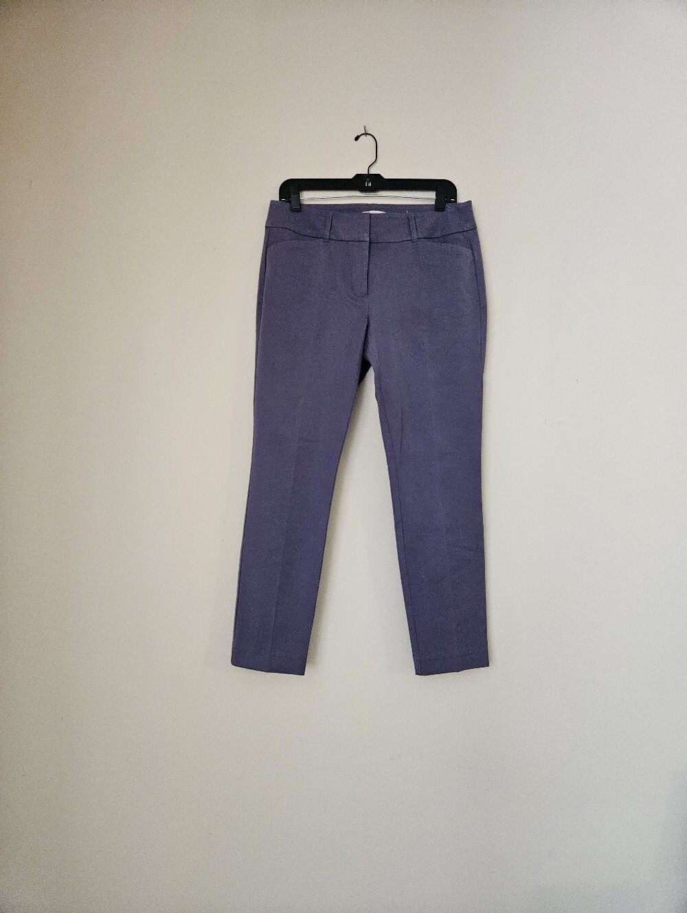 LOFT Purple Cropped Skinny Ankle Pants, Size 8